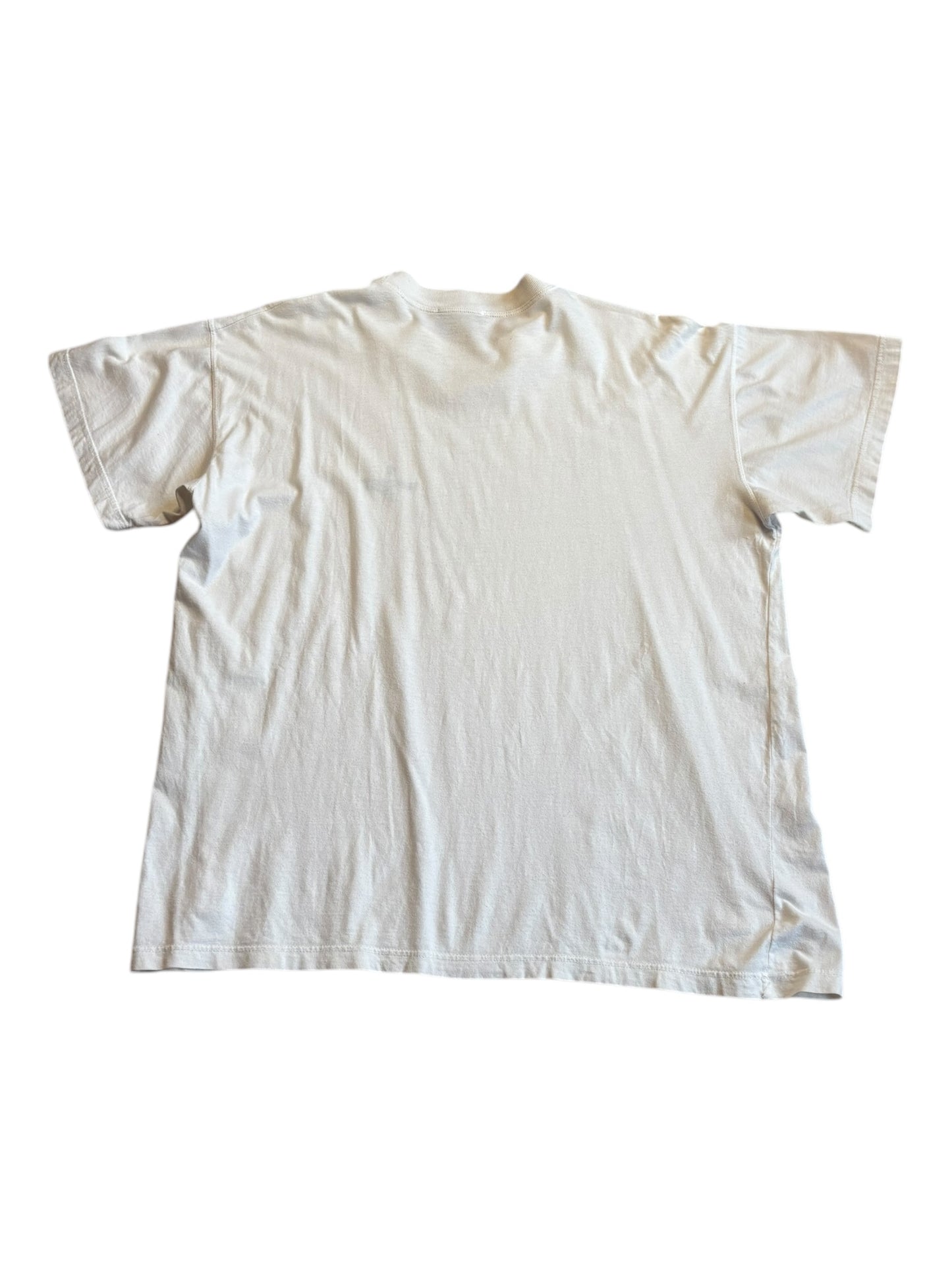 T-Shirt (L/XL)